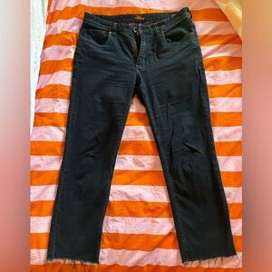 Tommy Bahama Cutoff Dark Blue Stretch Jeans